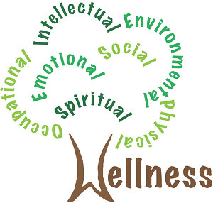 wellness dimensions